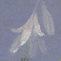 Ref: 005, detail Ref: 005, detail