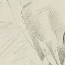 Ref: 007, detail Ref: 007, detail