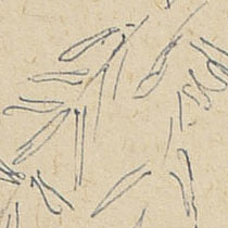 Ref: 016, detail Ref: 016, detail