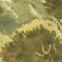 Ref: 021, detail Ref: 021, detail