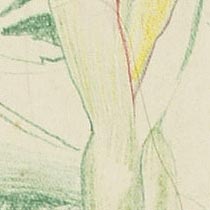 Ref: 031, detail Ref: 031, detail