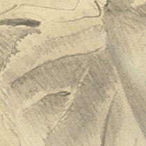Ref: 079, detail Ref: 079, detail