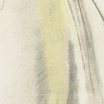 Ref: 201, detail