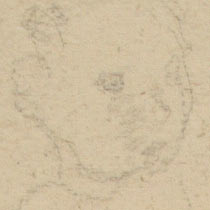 Ref: 272v, detail Ref: 272v, detail