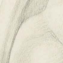 Ref: 292r, detail Ref: 292r, detail
