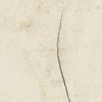 Ref: 293v, detail Ref: 293v, detail