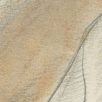 Ref: 295r, detail Ref: 295r, detail
