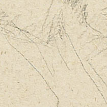 Ref: 381v, detail Ref: 381v, detail