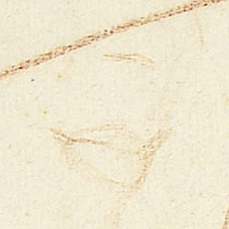 Ref: 427v, detail Ref: 427v, detail