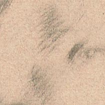 Ref: 431v, detail Ref: 431v, detail