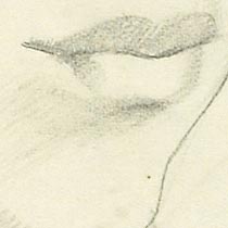 Ref: 432, detail Ref: 432, detail