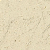 Ref: 437v, detail Ref: 437v, detail