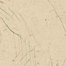 Ref: 450, detail Ref: 450, detail