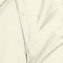 Ref: 465, detail Ref: 465, detail