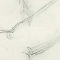 Ref: 466v, detail Ref: 466v, detail