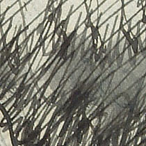 Ref: 506, detail Ref: 506, detail