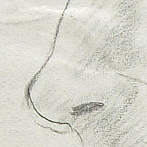 Ref: 507, detail Ref: 507, detail