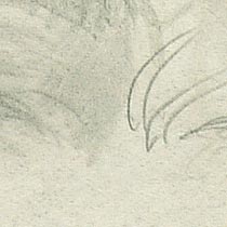 Ref: 509r, detail Ref: 509r, detail
