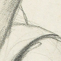 Ref: 512r, detail Ref: 512r, detail