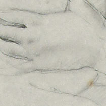 Ref: 548, detail