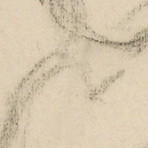 Ref: 557r, detail Ref: 557r, detail