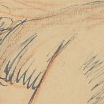 Ref: 559r, detail