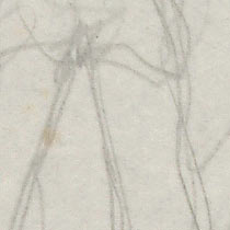 Ref: 583, detail Ref: 583, detail