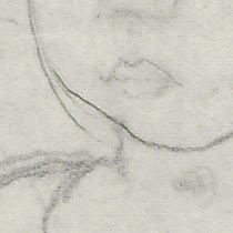 Ref: 586, detail Ref: 586, detail