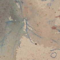 Ref: 620v, detail Ref: 620v, detail