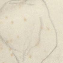 Ref: 672v, detail Ref: 672v, detail