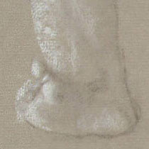 Ref: 729, detail Ref: 729, detail