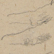 Ref: 777v, detail Ref: 777v, detail